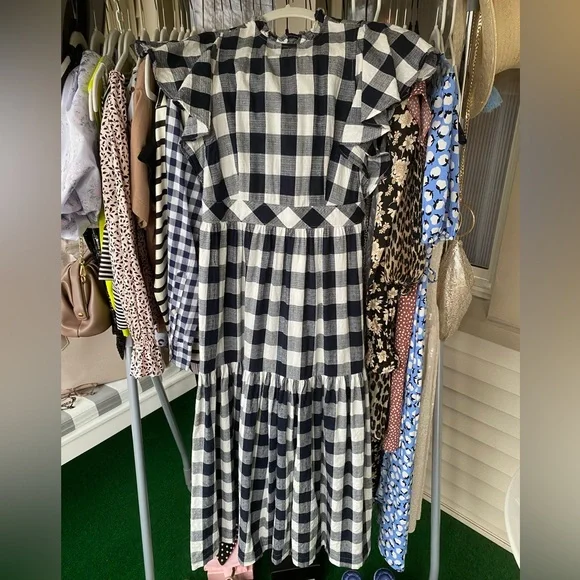 Express x Lady Gang Gingham Dress! - Picture 3 of 11